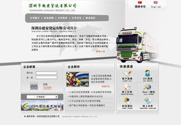 超安貨運網(wǎng)頁設(shè)計 驅(qū)動國內(nèi)廣告業(yè)務(wù)的數(shù)字化轉(zhuǎn)型新引擎